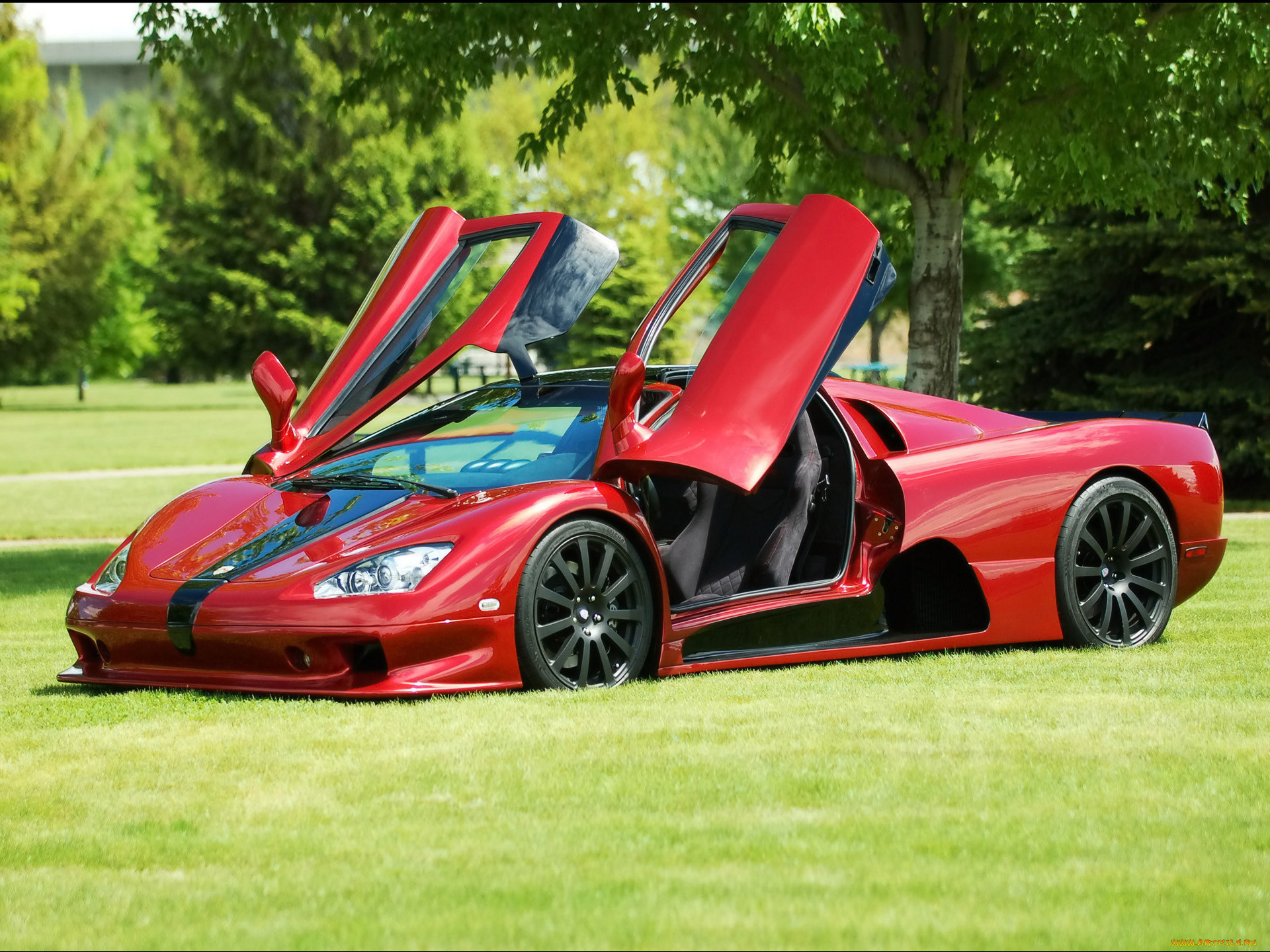 2009, ssc, ultimate, aero, red, , ac, cobra, shelby